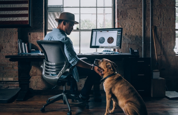 Dog at the office