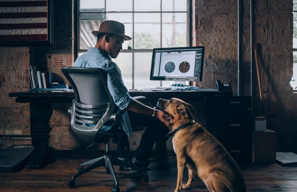 Chien au bureau