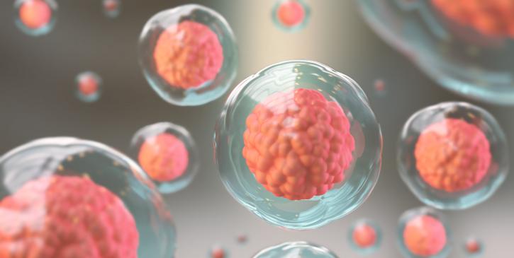 Cellules scientifiques roses et transparentes 