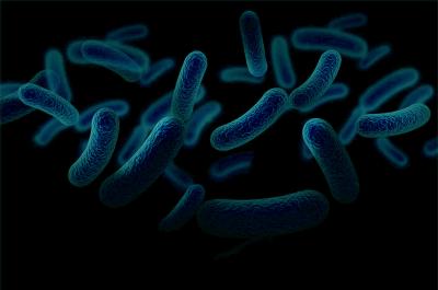 Photo of molecules scattered