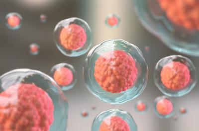 Cellules scientifiques roses et transparentes 